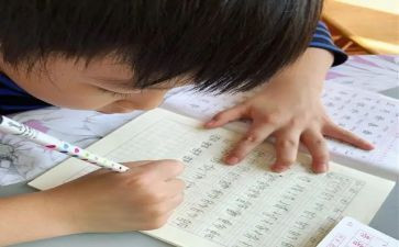 作文我的名字8篇