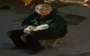 我的奶奶600字初中作文8篇