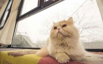 我的新发现的作文8篇