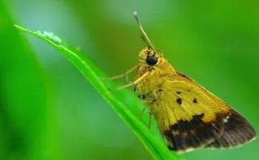 我的新发现的作文最新5篇