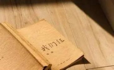 我们仨的读书心得通用6篇