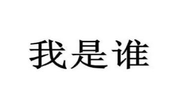 我是谁优秀作文通用8篇