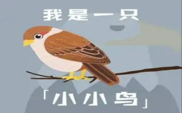 写小鸟的作文推荐6篇