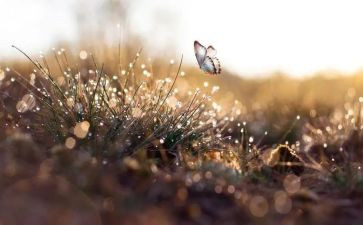 我依然_____作文优质6篇