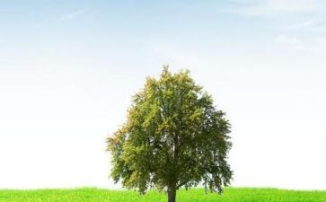 我在变作文700字初中作文优质5篇