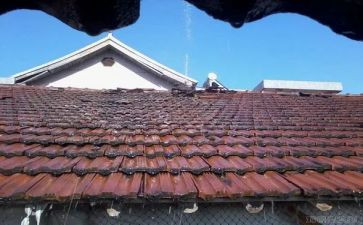 握住你的手作文满分作文8篇