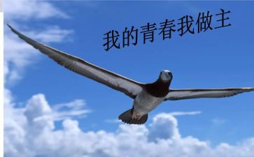 我的快乐我做主作文700最新6篇