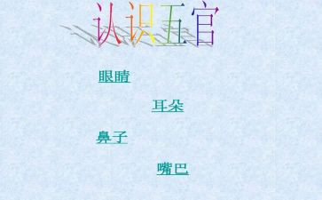 谈五官作文通用7篇