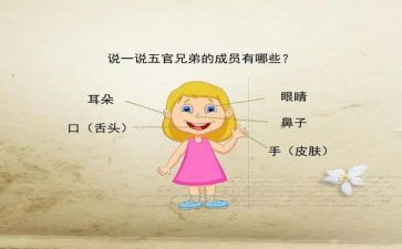 话或画五官作文5篇
