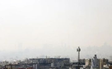 污染类的调查报告5篇