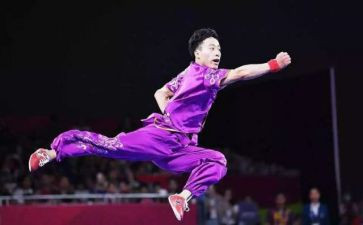 武术活动进校园活动方案5篇