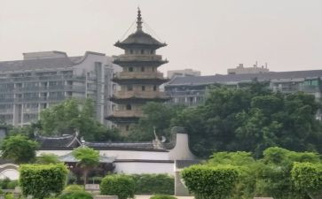 《乌塔》读后感作文最新7篇
