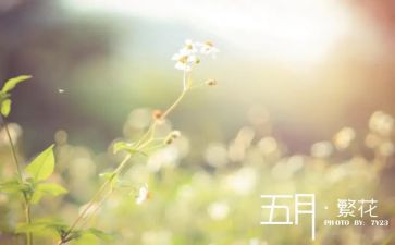 红五月活动总结6篇