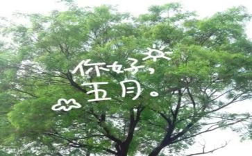 五月份的工作计划推荐5篇