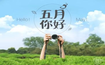 五月五二零活动策划7篇