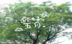 五月份的工作计划推荐5篇