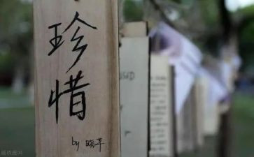 写珍惜的作文450字5篇