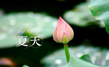 夏至的教案5篇