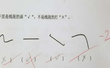4.2直线射线线段教案5篇