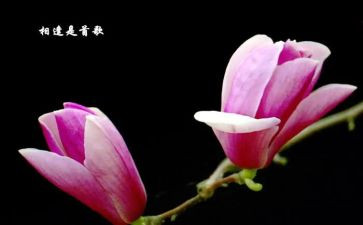 一次相逢一份爱作文精选6篇