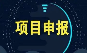项目半年度工作总结精选7篇