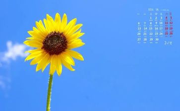 向日葵,作文精选8篇