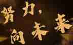 当好引路人一起向未来心得体会6篇