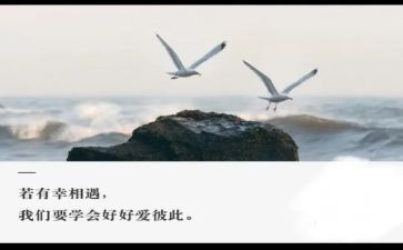 与谁相遇的作文优秀7篇