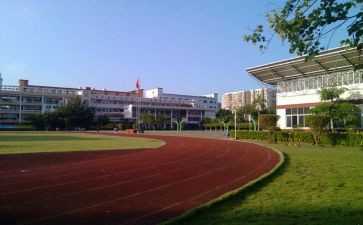 乡镇教育工作总结个人总结7篇