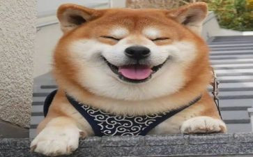 爱笑的他作文600字6篇