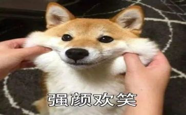 关于笑的作文600字7篇