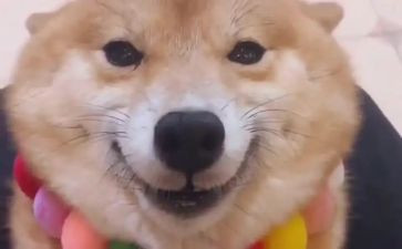 笑对人生作文600字优质8篇