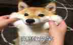 笑的故事600字作文最新7篇