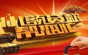 小额贷工作总结6篇