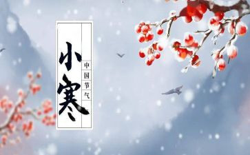小寒节的作文7篇