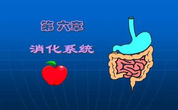 消化内科护士工作计划7篇