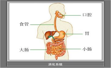 2024年消化科半年度工作总结5篇