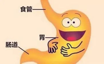 在消化内科的心得体会8篇