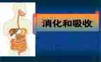 消化科工作总结5篇