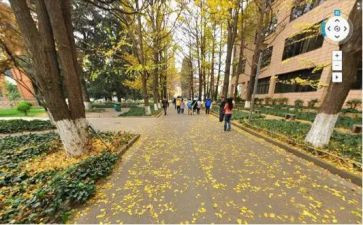 校内实训的心得体会5篇