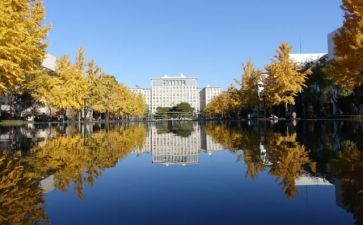 学校内宿申请书最新7篇