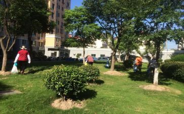 元旦小区物业活动方案8篇