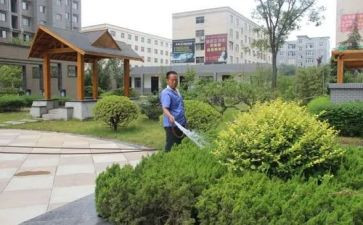 小区物业经理述职报告7篇