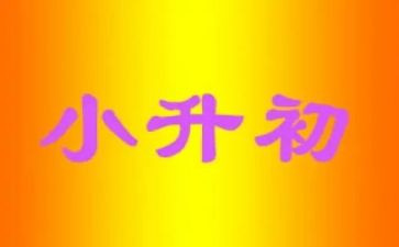 小升初的作文通用5篇