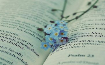 乔和小说读后感模板8篇