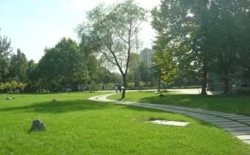 2024校务公开工作报告7篇