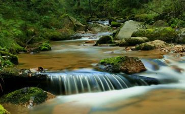 小溪的读后感6篇