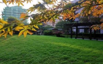 作文新的校园通用7篇