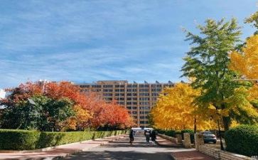 校园是______作文模板6篇