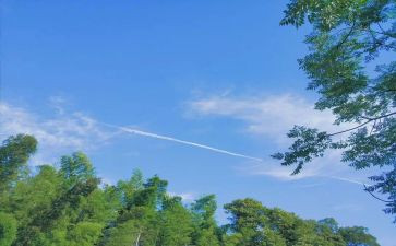 写夏天美景的作文400字8篇